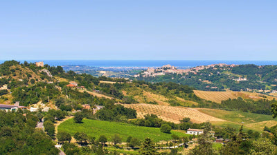 In viaggio con Sebach, tra la Via Emilia e la Storia