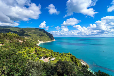 In viaggio con Sebach: i Parchi naturali delle Marche.