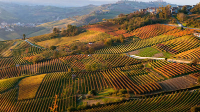 In Viaggio con Sebach: il Piemonte in un bicchiere